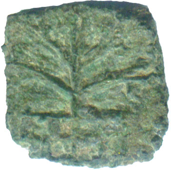 tree08c5bl_rsva_obverse