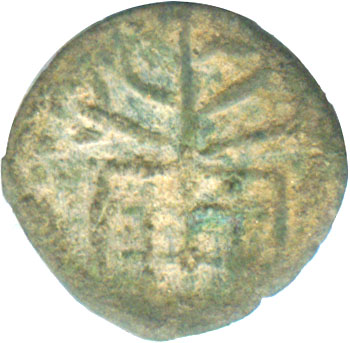 tree12c5bf_lsva1_obverse