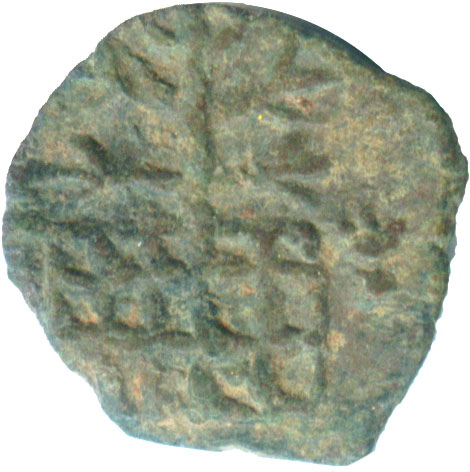 tree15c5bf_lsva_obverse