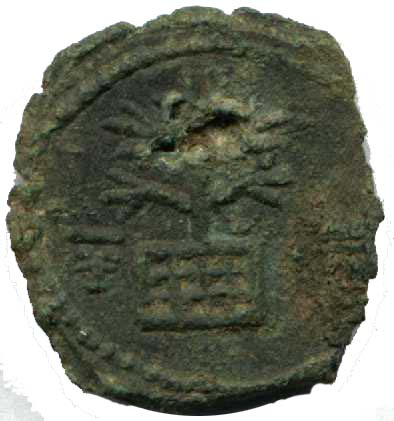 tree12c5bf_rsva_bg_obverse